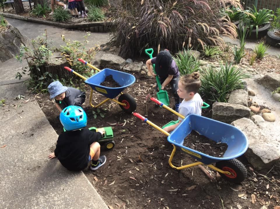 Children digging in the garden with wheelbarrows